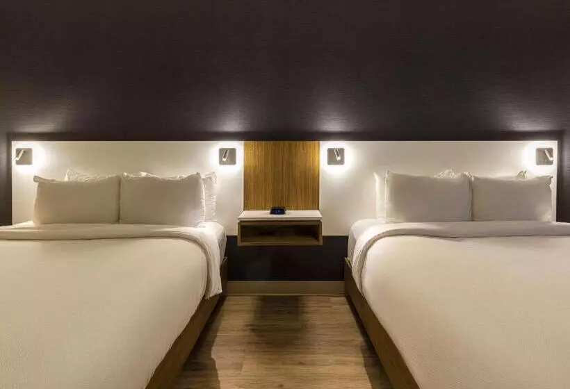クイーンサイズベッドのスタンダードルーム, Comfort Inn