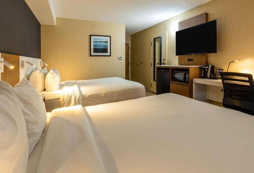 스탠다드 룸 퀸사이즈 침대, Comfort Inn