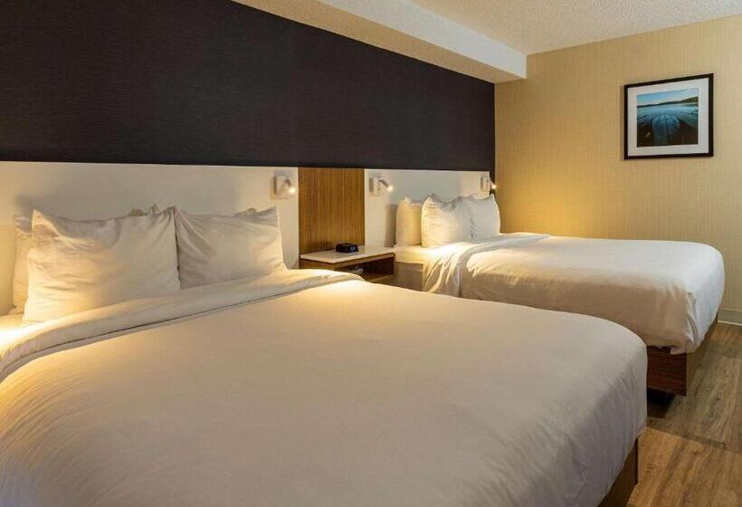 חדר סטנדרט עם מיטת קווין, Comfort Inn