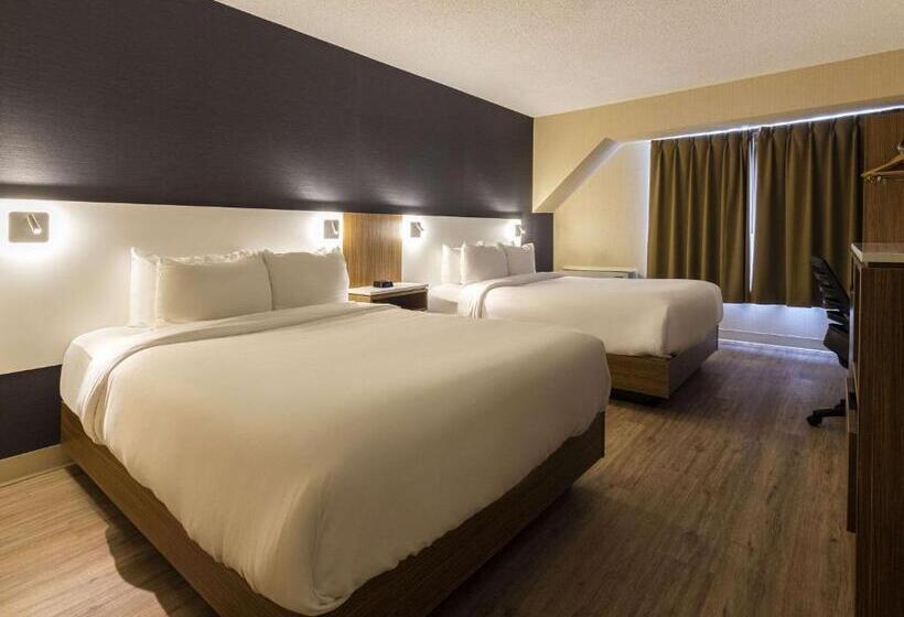 스탠다드 룸 퀸사이즈 침대, Comfort Inn