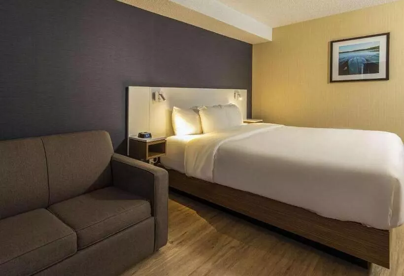 キングサイズベッドのスタンダードルーム, Comfort Inn