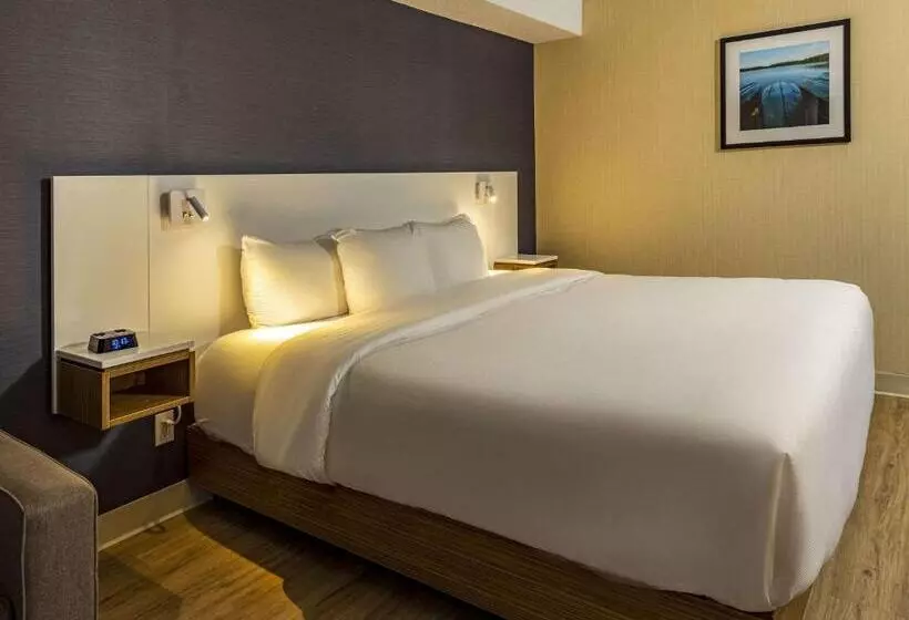 キングサイズベッドのスタンダードルーム, Comfort Inn
