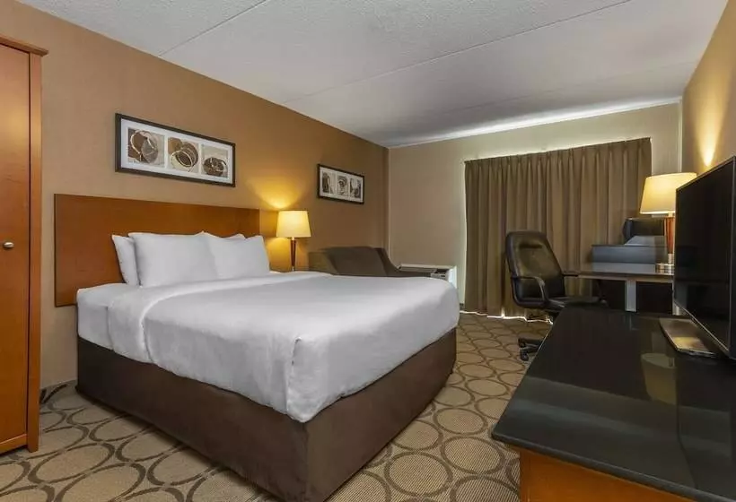 اتاق استاندارد در طبقه همکف, Comfort Inn