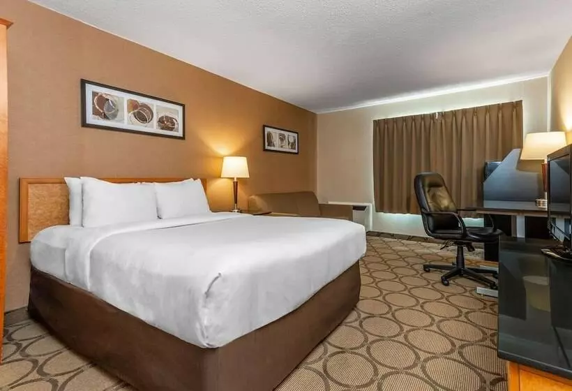 اتاق استاندارد در طبقه همکف, Comfort Inn