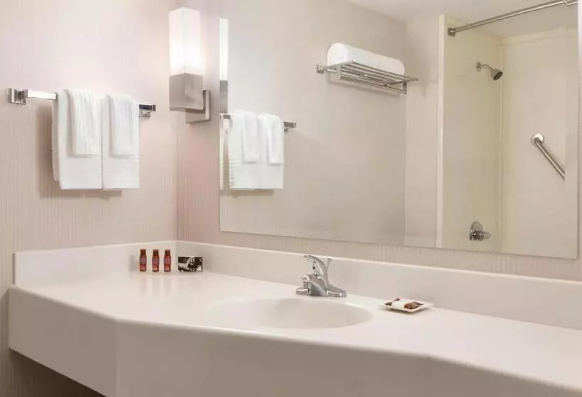 اتاق استاندارد با تخت بزرگ, Delta Hotels By Marriott Saint John