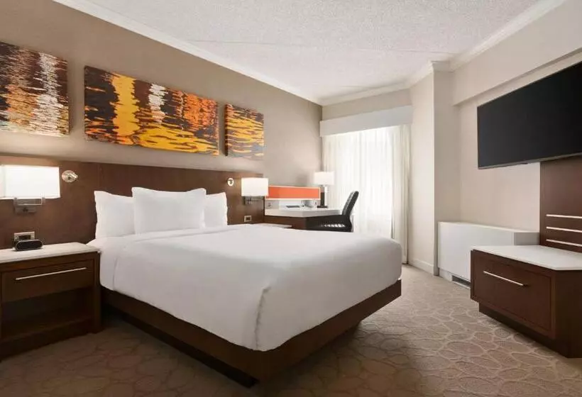 اتاق استاندارد, Delta Hotels By Marriott Saint John