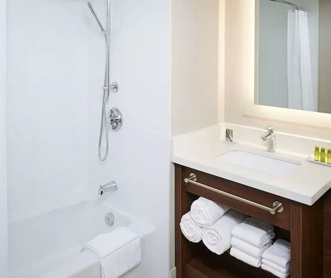 ２ダブルベッドのスタンダードルーム, Delta Hotels By Marriott Toronto Mississauga