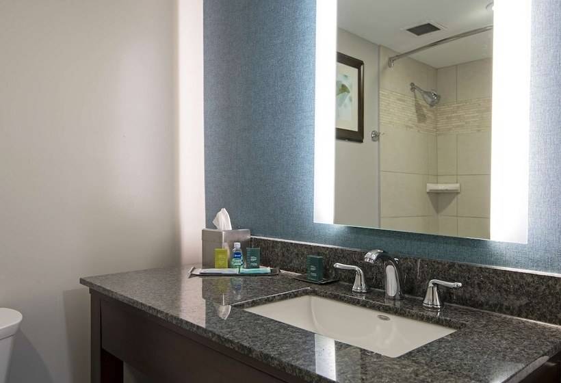 小型套房, Doubletree By Hilton Hotel Kamloops