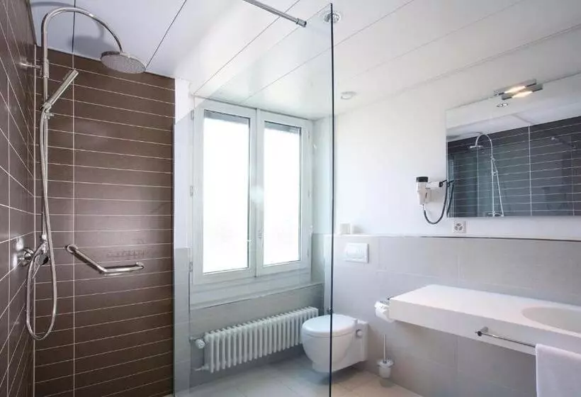 Economy Single Room, Euler  Basel