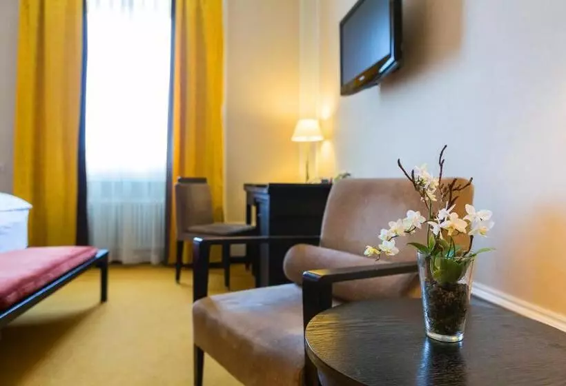 Deluxe Room, Euler  Basel