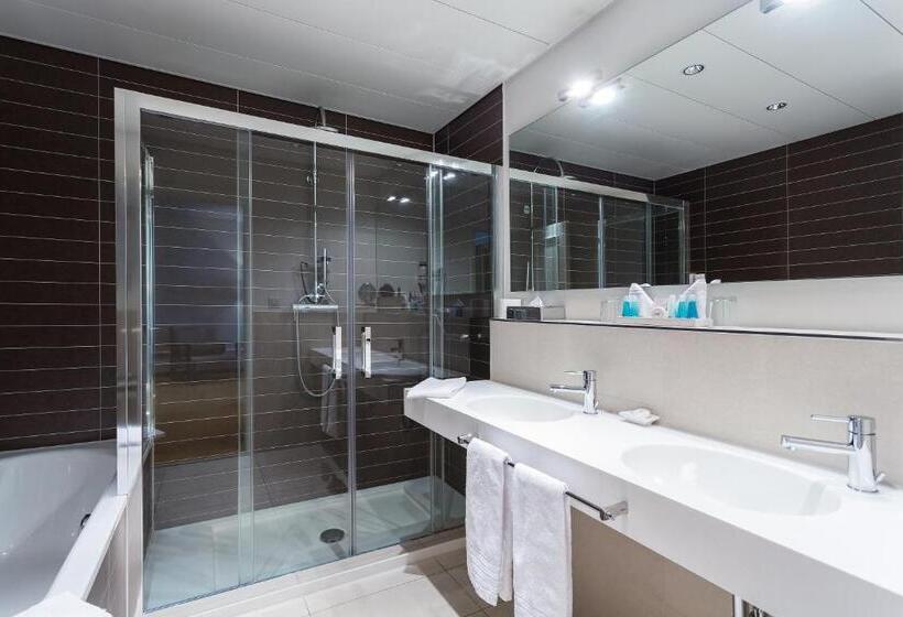 غرفة ديلوكس, Euler Basel