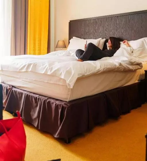 Deluxe Room, Euler  Basel
