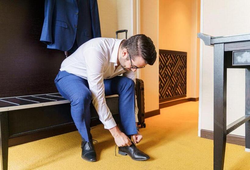 غرفة ديلوكس, Euler Basel