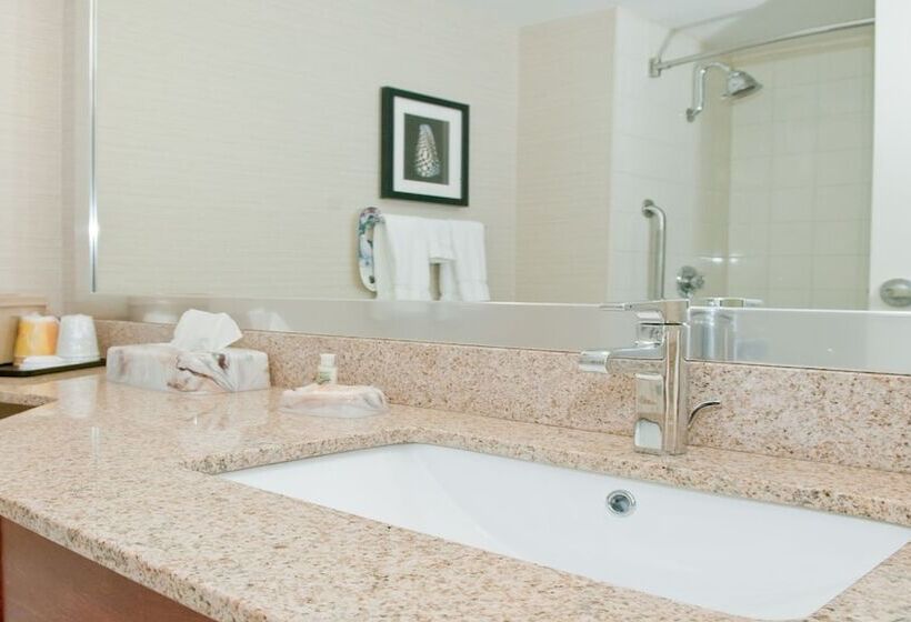 غرفه قياسيه سريرين مزدوجين, Holiday Inn Oakville Centre, An Ihg