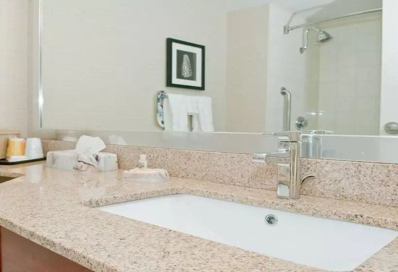 ２ダブルベッドのスタンダードルーム, Holiday Inn Oakville Centre, An Ihg