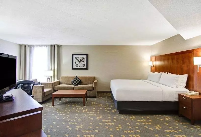 プレミアムルーム, Holiday Inn Oakville Centre By Ihg