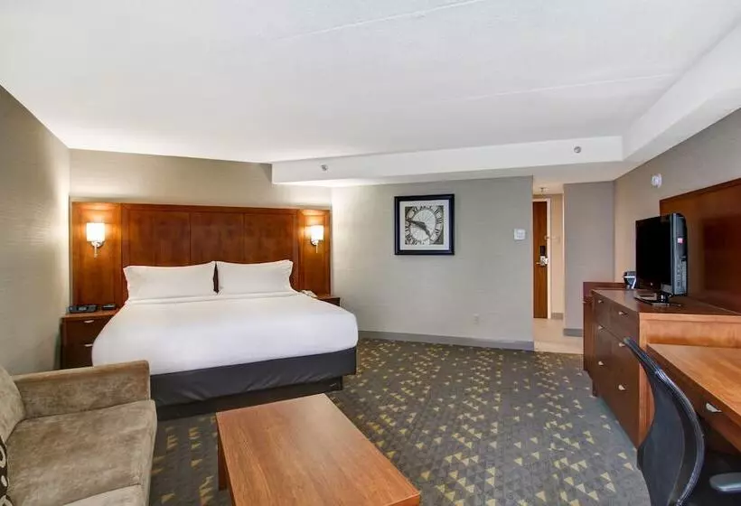 プレミアムルーム, Holiday Inn Oakville Centre By Ihg