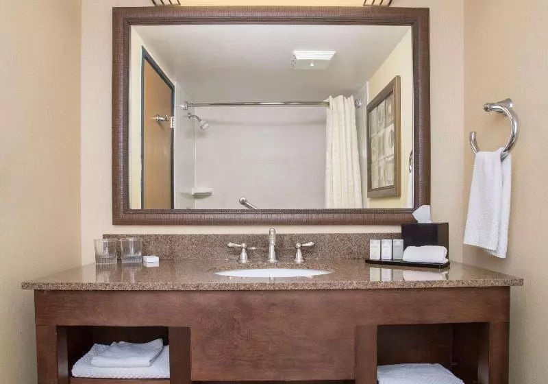 スタンダードルーム, Holiday Inn Oakville Centre, An Ihg