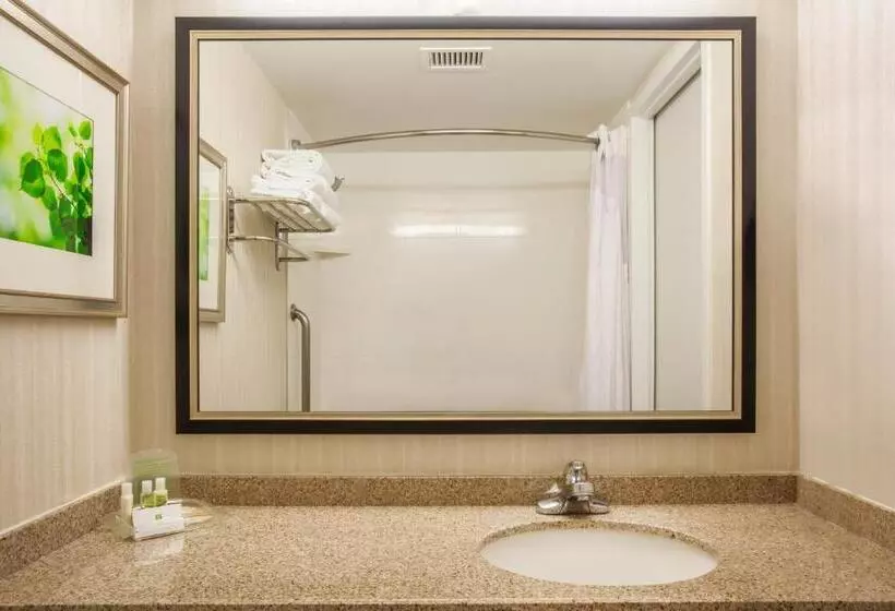 キングサイズベッドのスタンダードルーム, Holiday Inn Toronto International Airport, An Ihg