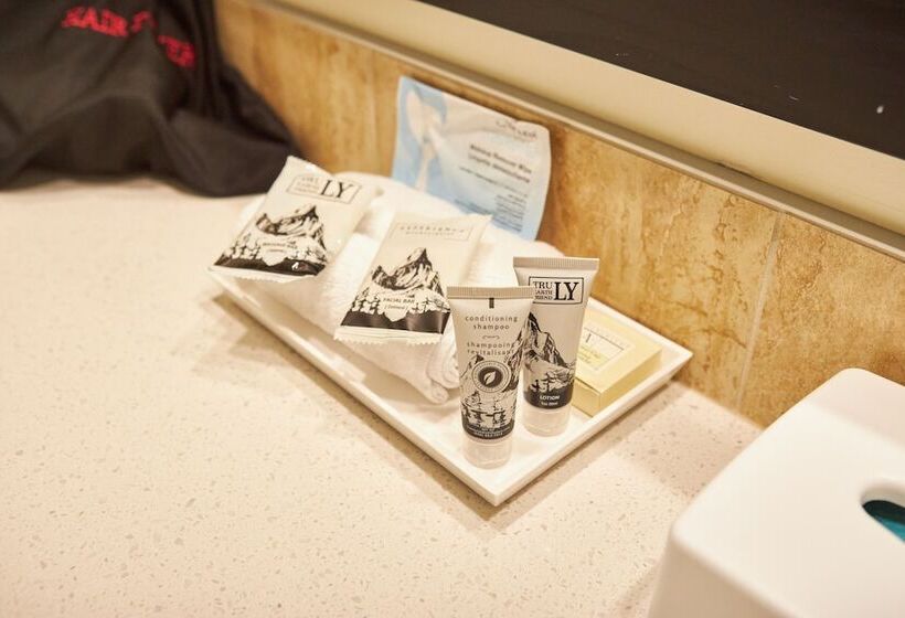 غرفه قياسيه سريرين مزدوجين, Jasper Inn & Suites By Innhotels