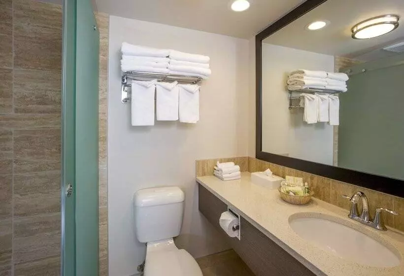 سوئیت 2 خوابه, Jasper Inn & Suites By Innhotels