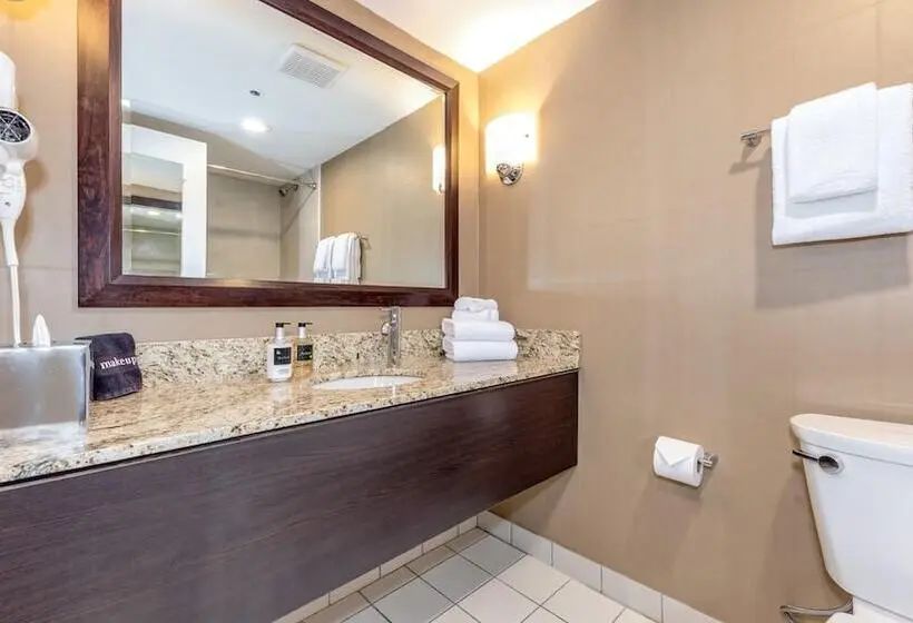 اتاق پرمیوم, Listel Whistler, A Coast