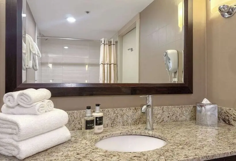 اتاق پرمیوم, Listel Whistler, A Coast