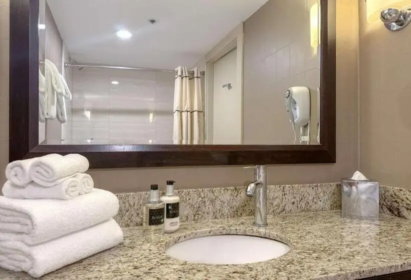 اتاق لوکس با تخت بزرگ, Listel Whistler, A Coast