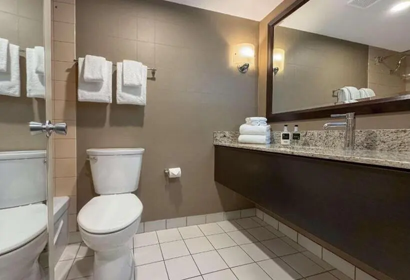 Standard Room without Air Conditioning