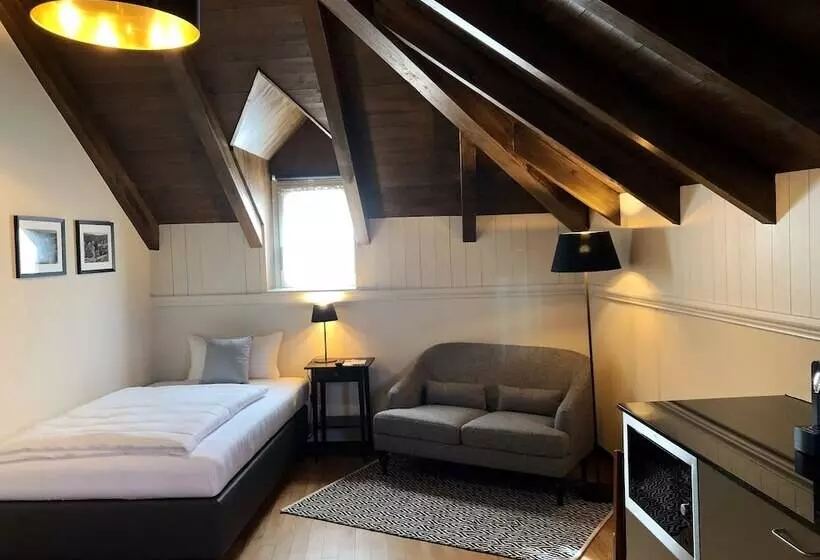 スタンダードシングルルーム, Marco Polo Business Apartments Sonne   Bremgarten