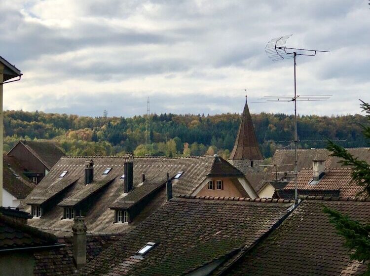 חדר סטנדרט, Marco Polo Business Apartments Sonne   Bremgarten