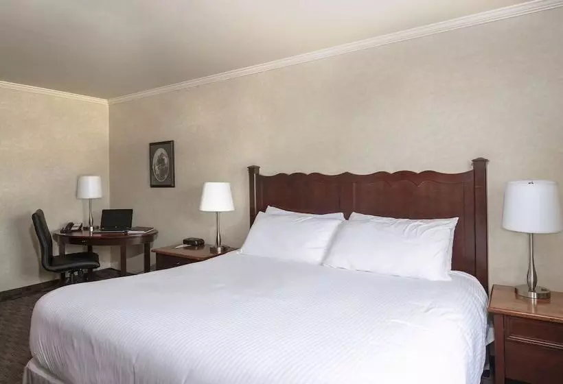 Executive-huone, Mount Peyton Resort & Conference Centre