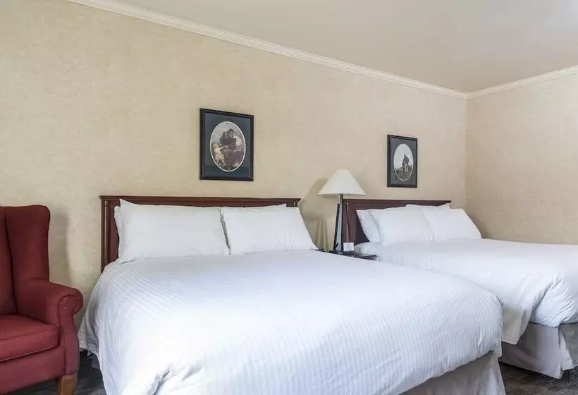 Standard-huone 2 Parivuodetta, Mount Peyton Resort & Conference Centre