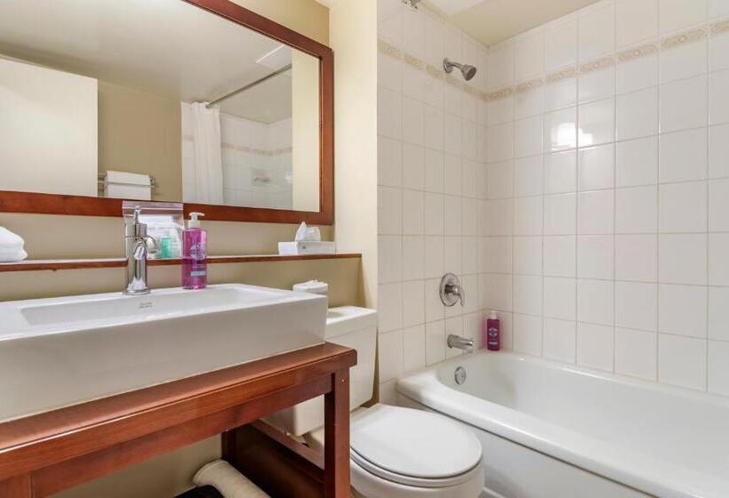 スタンダードルーム, Penticton, Independent