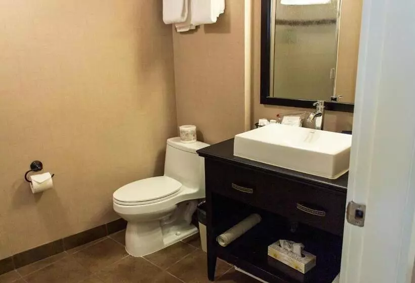 اتاق استاندارد با تخت بزرگ, Penticton, Independent