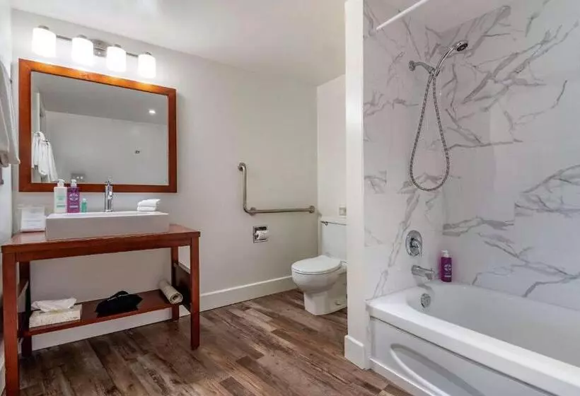 اتاق استاندارد برای معلولان, Penticton, Independent