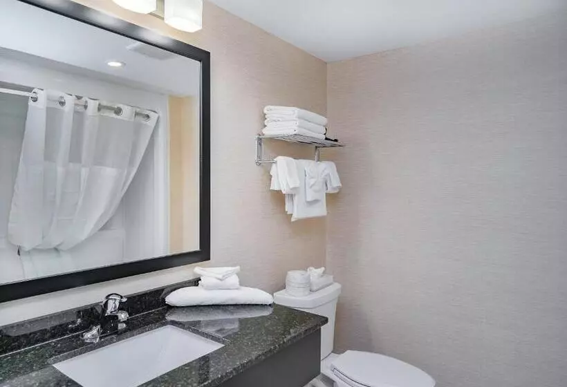 اتاق استاندارد با تخت بزرگ, Ramada By Wyndham Niagara Falls Near The Falls