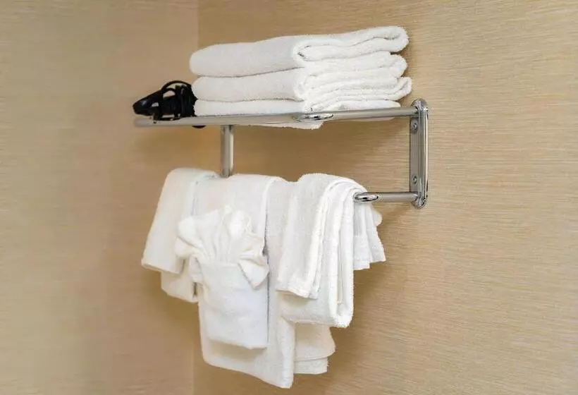 سوئیت با تخت بزرگ, Ramada By Wyndham Niagara Falls Near The Falls