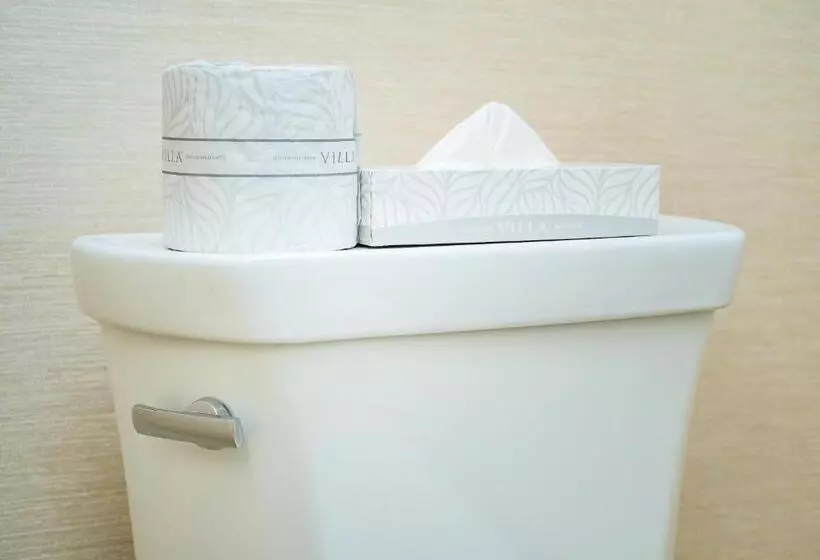 اتاق استاندارد, Ramada By Wyndham Niagara Falls Near The Falls