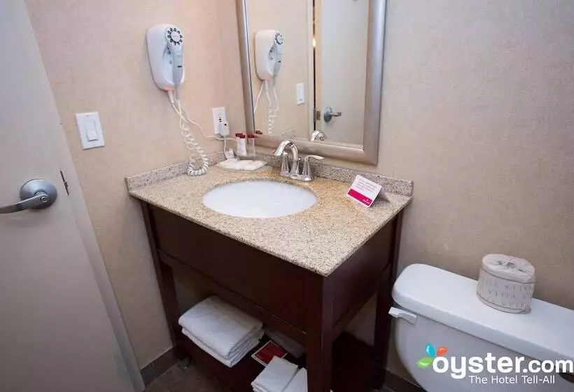 Deluxe-studio, Ramada By Wyndham Niagara Falls/fallsview