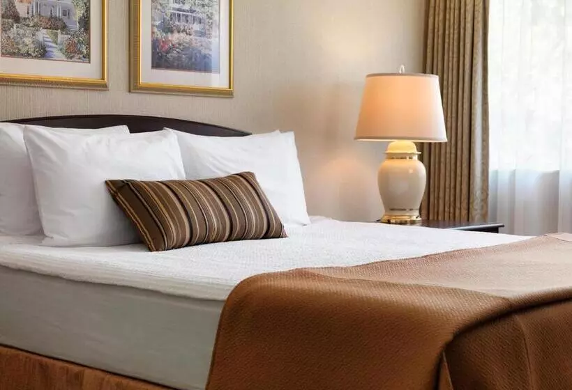 استودیوی استاندارد, Royal Scot Hotel & Suites