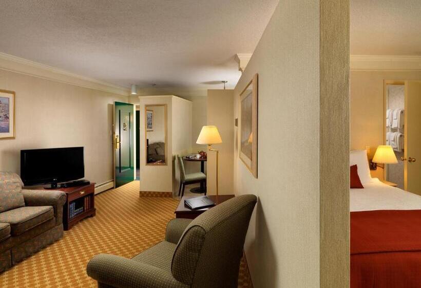 スタンダードスタジオ, Royal Scot Hotel & Suites