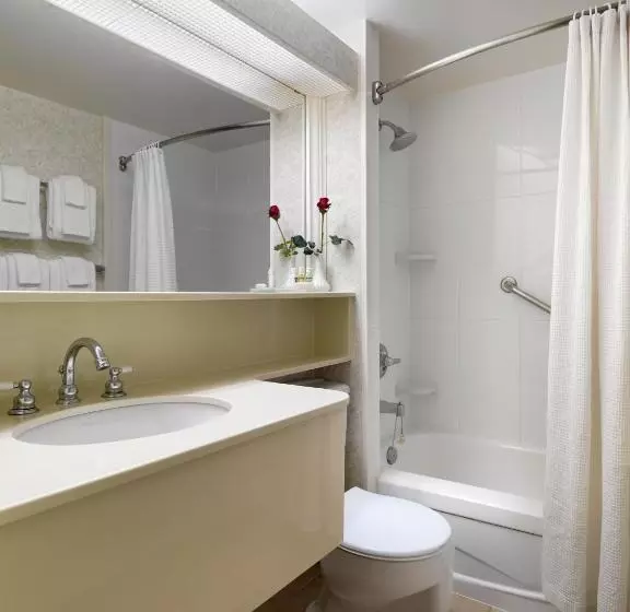سوییت, Royal Scot Hotel & Suites