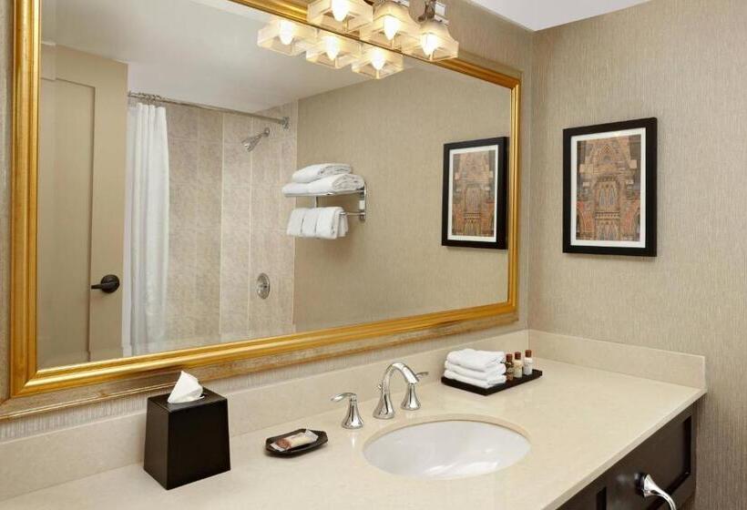 غرفه قياسيه سريرين مزدوجين, Sheraton Ottawa