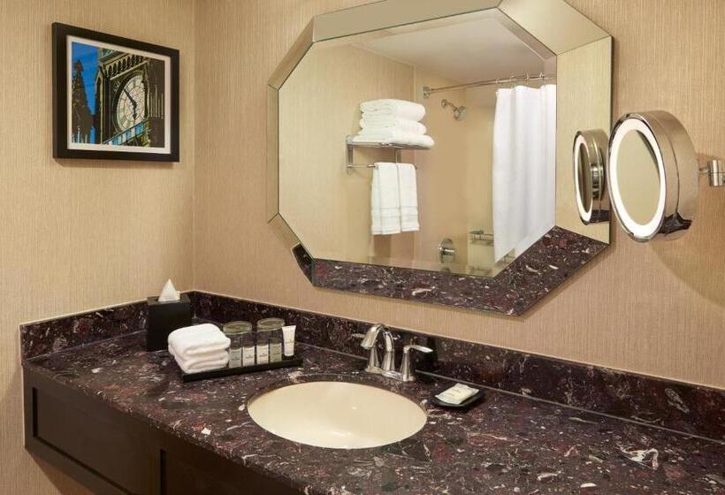 غرفة كلوب سرير كينج, Sheraton Ottawa