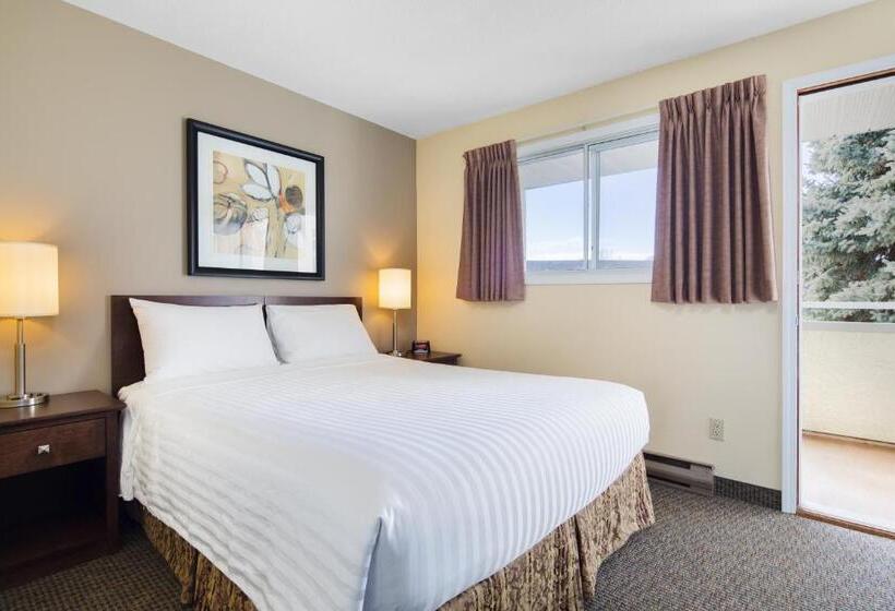 סוויטה דלוקס, Siesta Suites