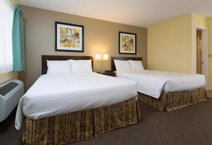 اتاق استاندارد با آشپزخانه, Siesta Suites