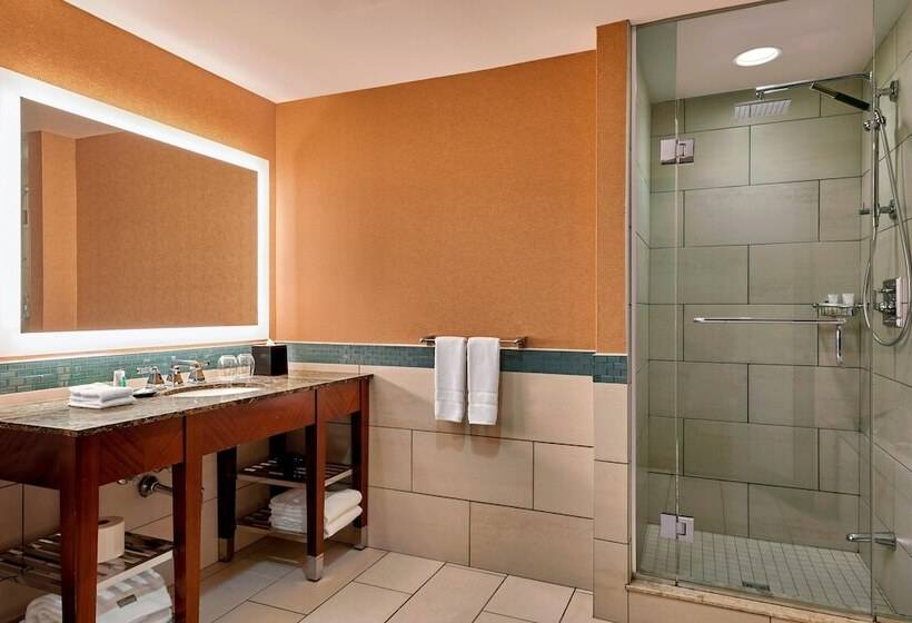 带双人床的标准工作室, The Westin Nova Scotian