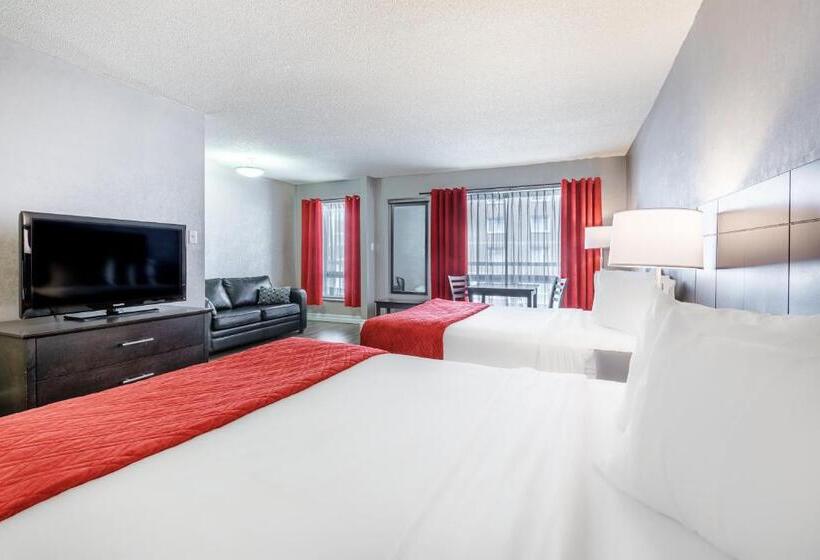 غرفة ديلوكس, Universel