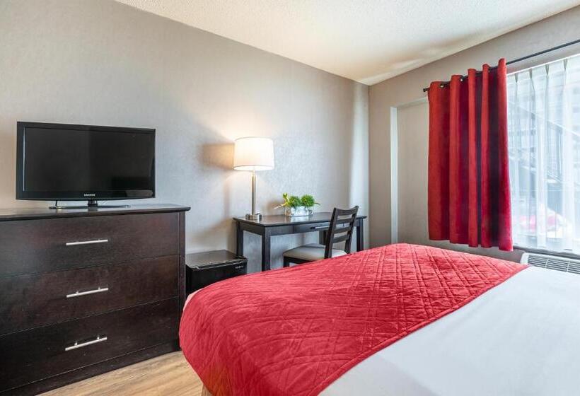 غرفة قياسية, Universel